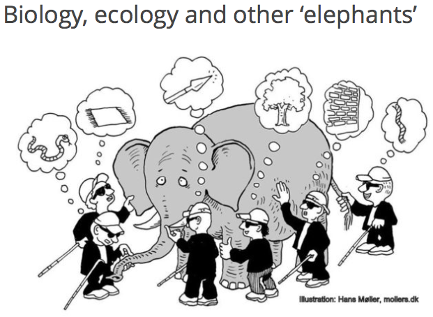 Biology, ecology and the "elephant"